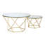 Levingston Frame Coffee Table-22864554
