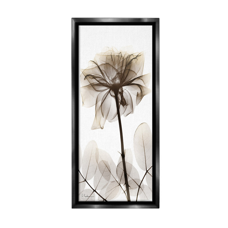 «Blooming Opaque Flower Floater Frame» par Albert Koetsier sur, Cadre flottant noir de jais, H 31 po x l 14 po