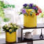 Pot Planter-1602334482