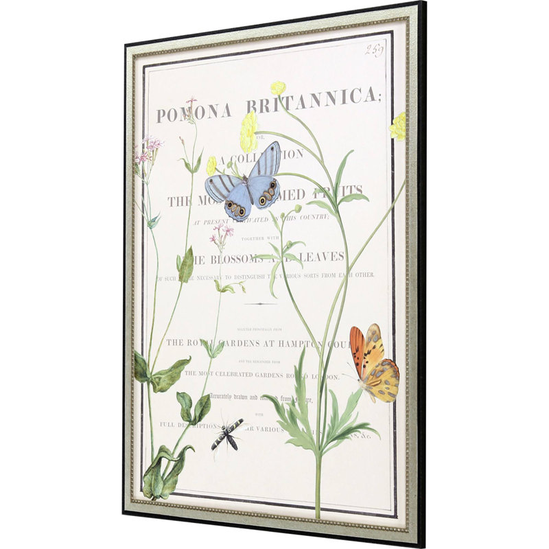 Ephemeral Bloom Print