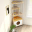 Arbre à chat avec poste d'alimentation et poteau à griffer, espace - blanc + chêne, coffre-fort amusant pour les chats d'intérieur