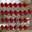 Paquet de 24 ornements cardinaux à pince rouge à motif de sapins de Noël décoratifs avec plumes pour artisanat couronne