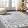 Yeghivart French Cottage Gray/Cream Rug