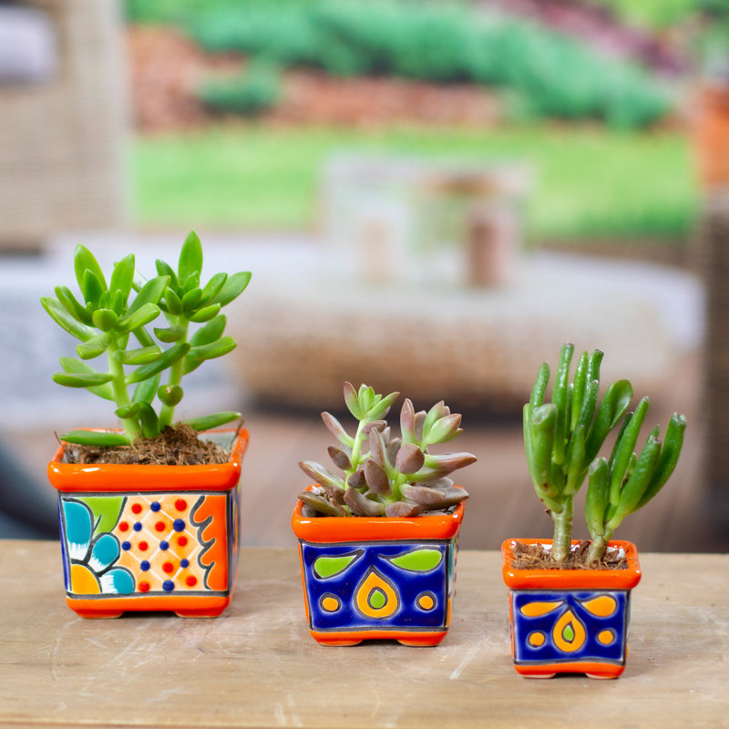 Ensemble de pots à fleurs en céramique 3 pièces Rolina