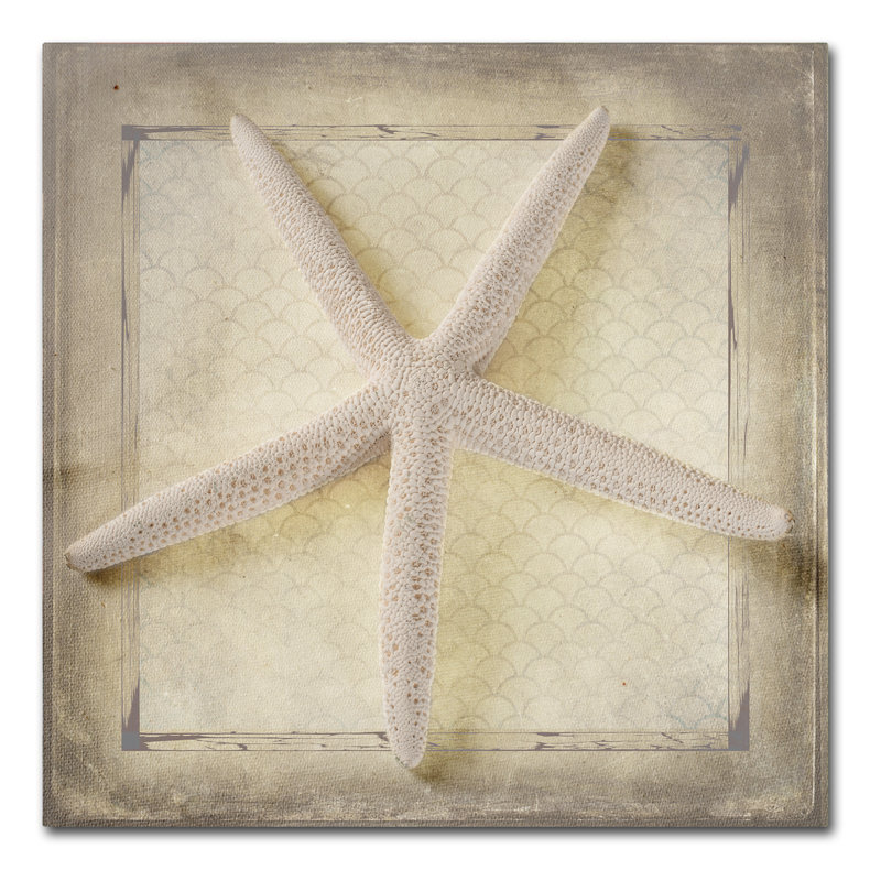 " Starfish " by LightBoxJournal, 24" H x 24" W x 2" D
