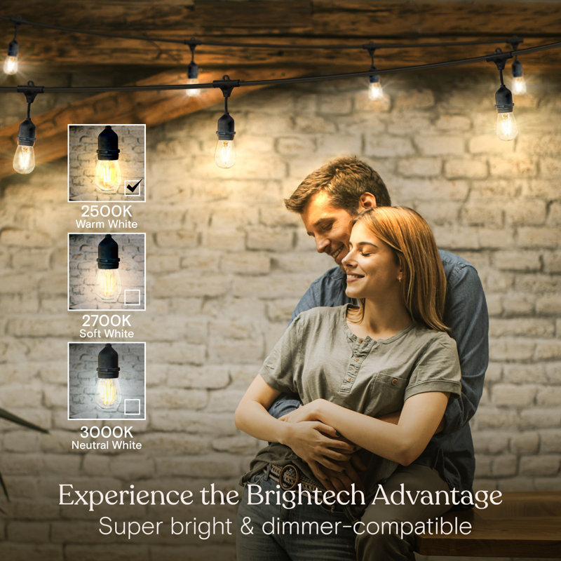 Ensemble de guirlandes de lumières DEL d'extérieur 48 pi avec 15 ampoules S14 blanc chaud Ambiance Pro, ensemble de crochets résistant aux intempéries et de qualité commerciale