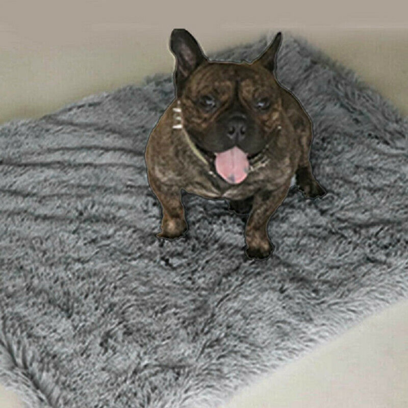 Fleece/Microfiber Pet Blanket, Light Grey, 75cm W x 100cm L