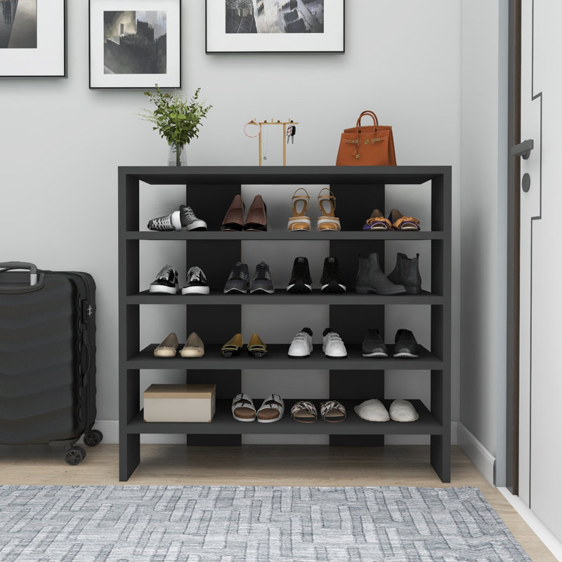 Baneen 8 Pair Shoe Storage Cabinet, Anthracite