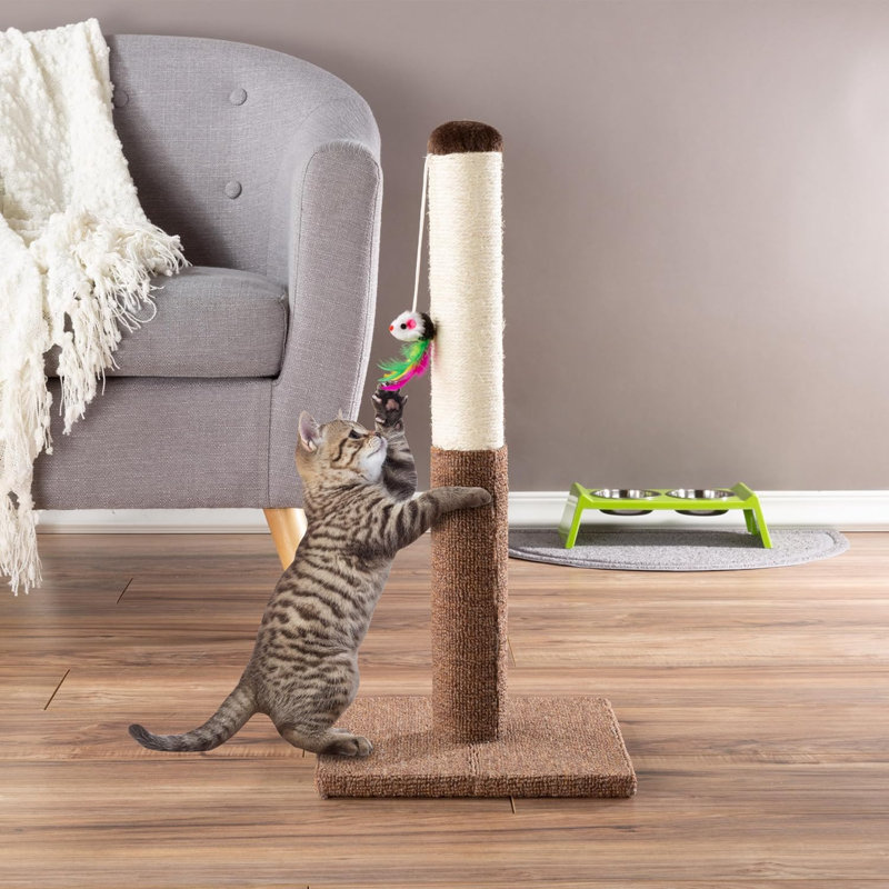 Petmaker Cat Scratch Post with Hanging Toy