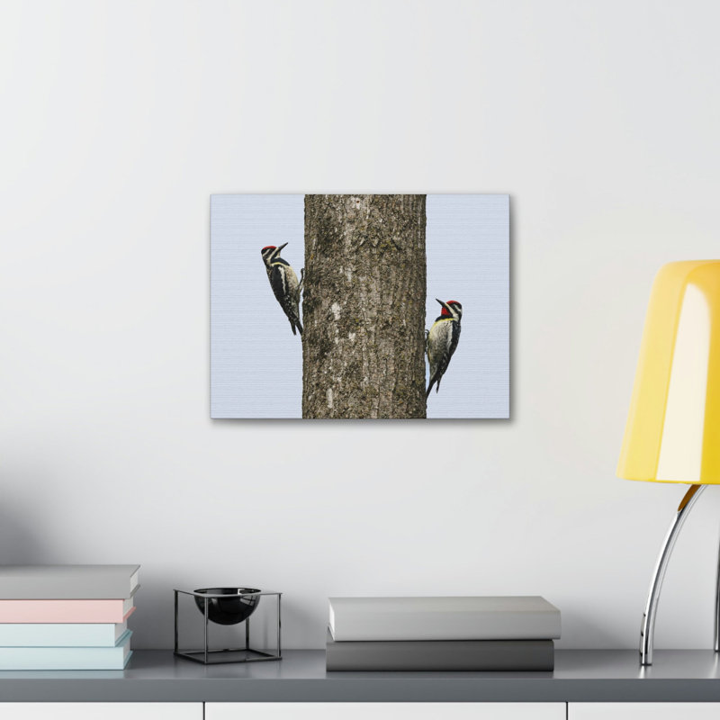 No Frame Print on Canvas, 30.48cm H x 45.72cm W