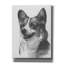 «Welsh Corgi» par Barbara Keith-1463191781