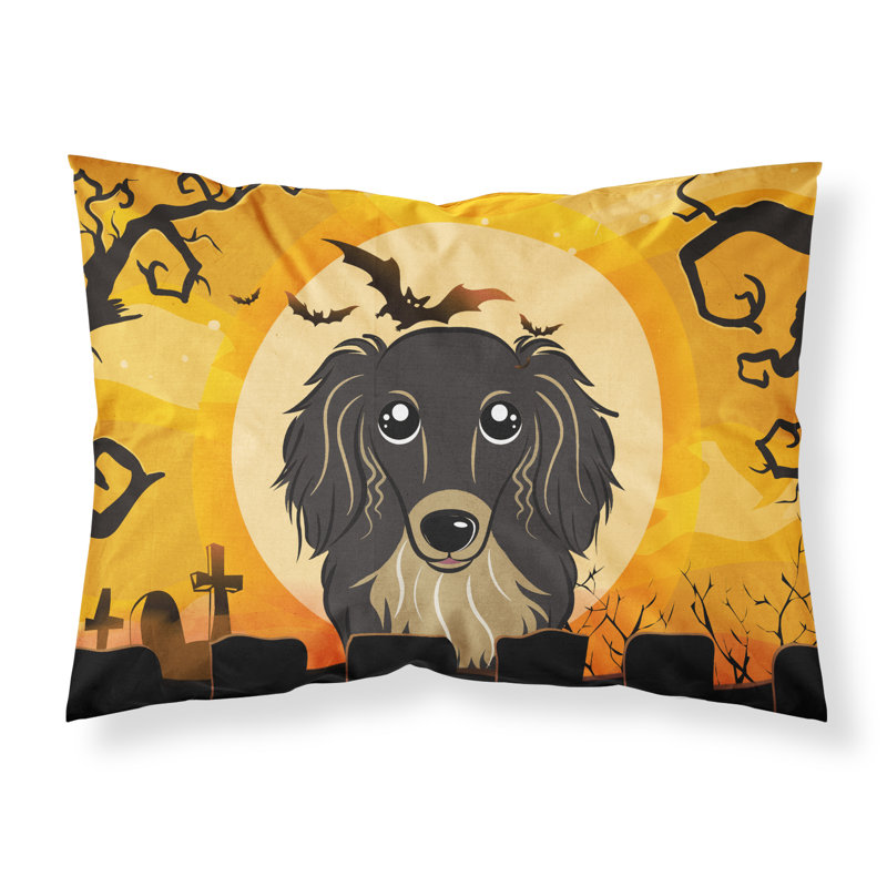 Microfiber, Black and Tan Longhair Dachshund