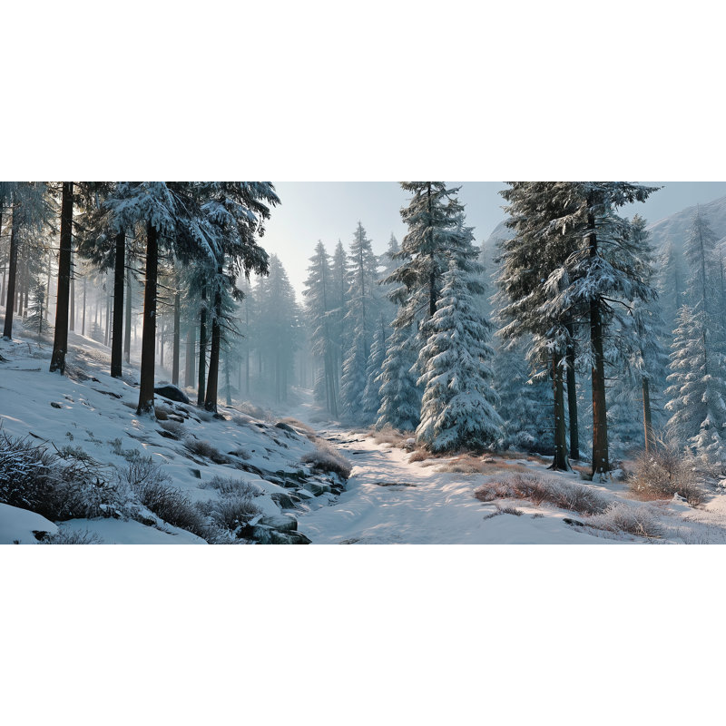 Art mural sur toile Sunlit Winter Meadow Pines, H 20 po x l 40 po