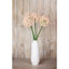 Arrangement-128130318-128130313