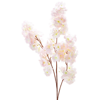 Jet de fleurs de cerisier