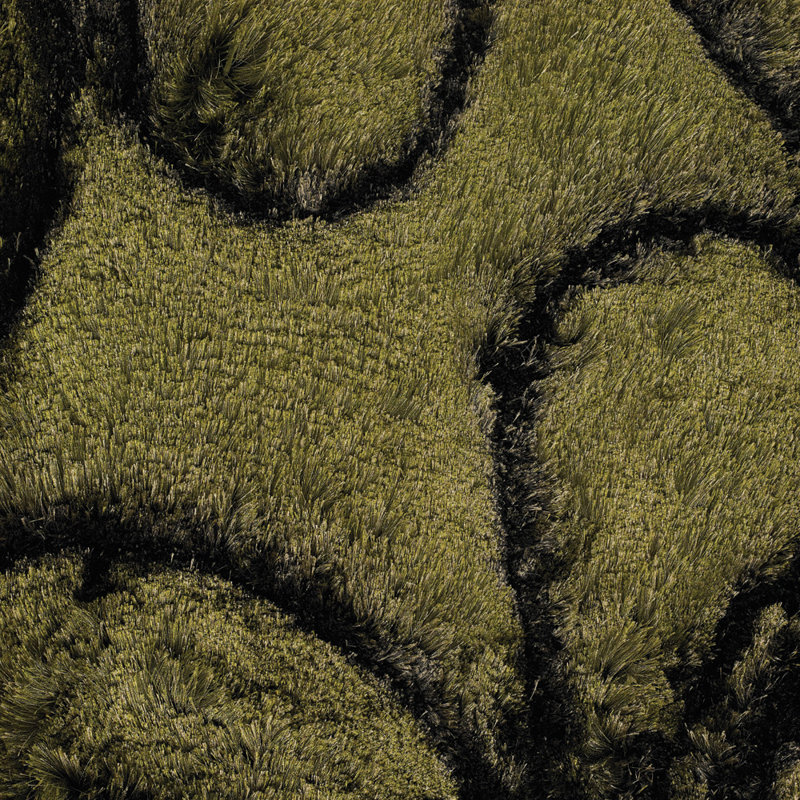 Flemish Shag Green Area Rug, 5' x 7'6"