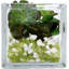 Pot de fleurs en verre