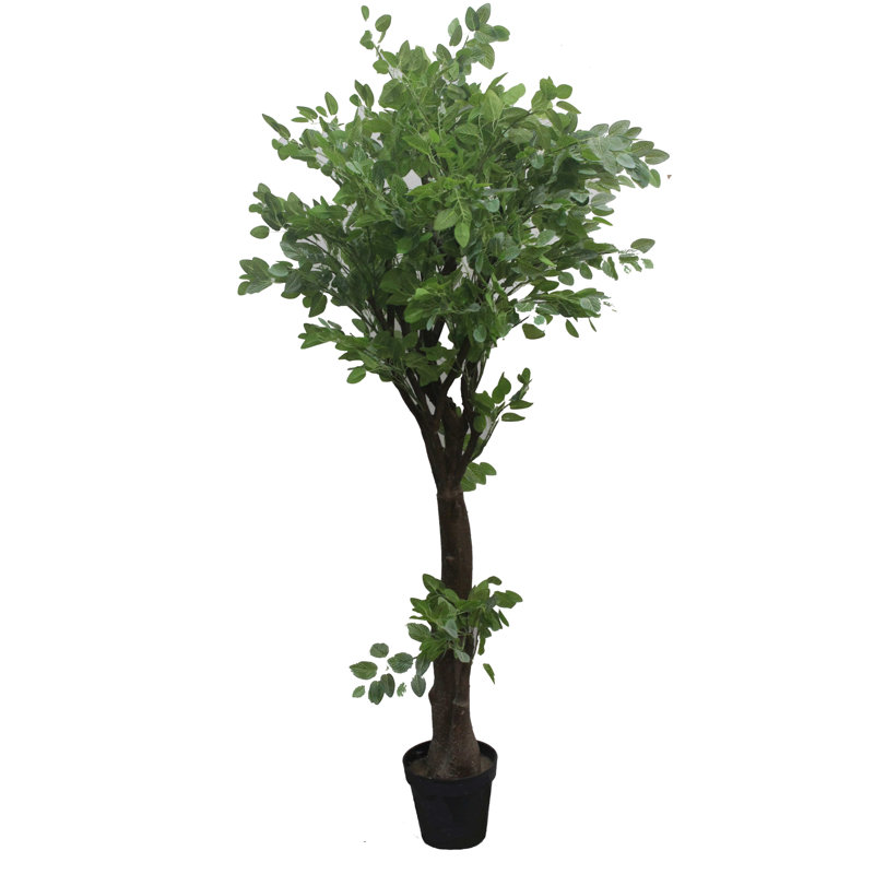 63'' Faux Ficus Tree in Ceramic Pot