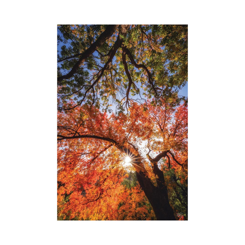 1 Piece Wall Art on Canvas, 20.32 cm H x 30.48 cm W, Wrapped Canvas