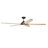 72'' Ceiling Fan with LED Lights-1649339082