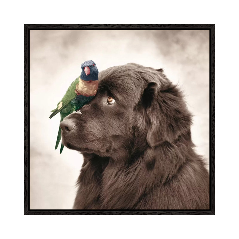 Henry And Pipi by Rachael Hale - Print on Canvas, 45.72 cm H x 45.72 cm W, Black Framed