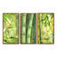 Tiges de bambou vert vif - ensemble d'art mural sur toile transitionnel encadré de 3-111757576-111757575