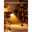 Clip On Lamp