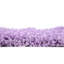 Tapis lilas Angelina-128209648