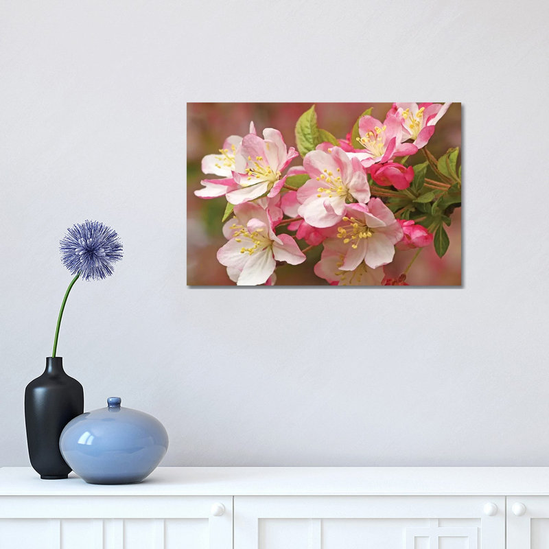 Flowering Crab 1 Piece Wrapped Canvas Wall Art, 30.48 cm H x 45.72 cm W
