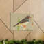 Art mural majestueux Zebra Finch-901994880