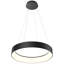 Luminaire suspendu circuit-100929702-98167526
