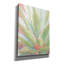 «Succulent Bloom 1» par Stellar Design Studio, estampe numérique sur toile-90544289