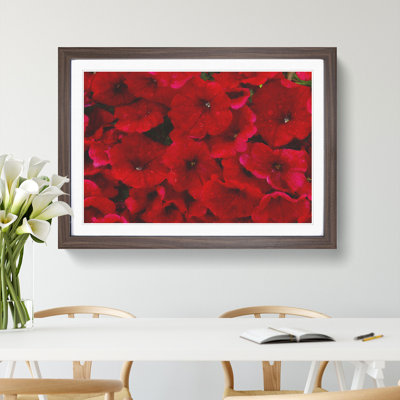 Seeing Red Flowers - Picture Frame Graphic Art