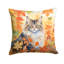 Coussin norvégien-112679424