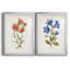 «Botanical I», ensemble de 2 reproductions d'art-272082546-271774477-272082549