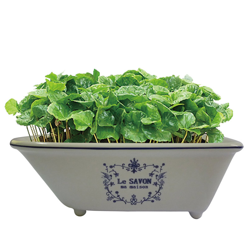 Kingston Brass Le Savon 5-5/8-Inch Mini Tub