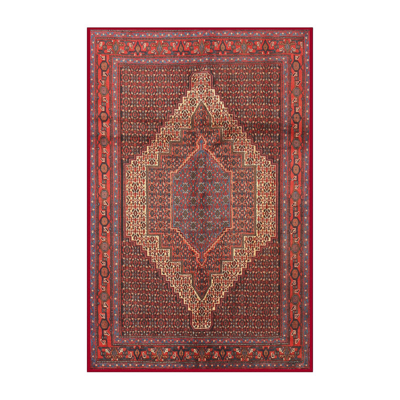 Tapis rouge à motif sud-ouest, Rectangle 8 pi x 12 pi
