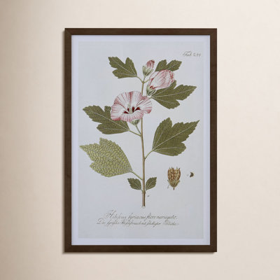 Cihat " Five Perfume "