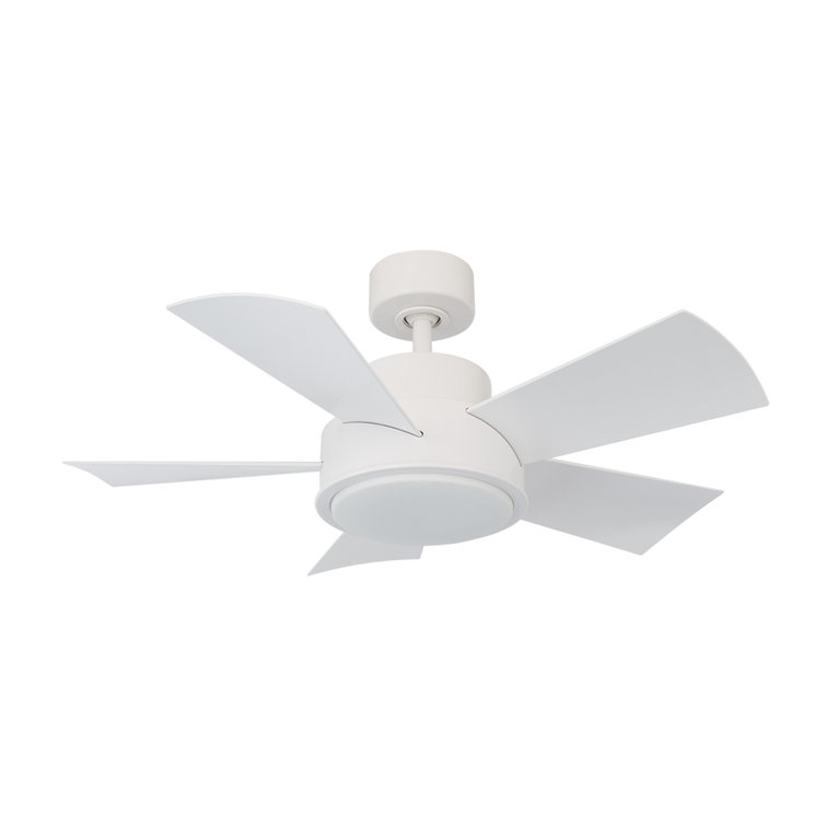 Elf 38'' Ceiling Fan with LED Lights