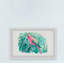 Pretty Parrot - Single Picture Frame Print-2052806363