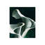 Flower Duet Print-26933987-26933988
