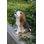 Beagle Puppy Howling