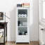 Freestanding Bathroom Cabinet