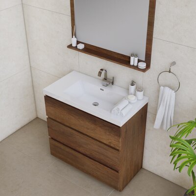 Ebern Designs Arjina 36'' Single Bathroom Vanity with Plastic Top ...