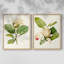 Impression encadrée MagnoliaFlowersI-Premium - prête à être accrochée - aucun clou requis - aucun clou requis-1277906600-1277906602