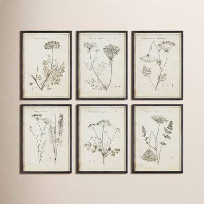 Bridgeton "Wild Flower" 6-Piece Print Set