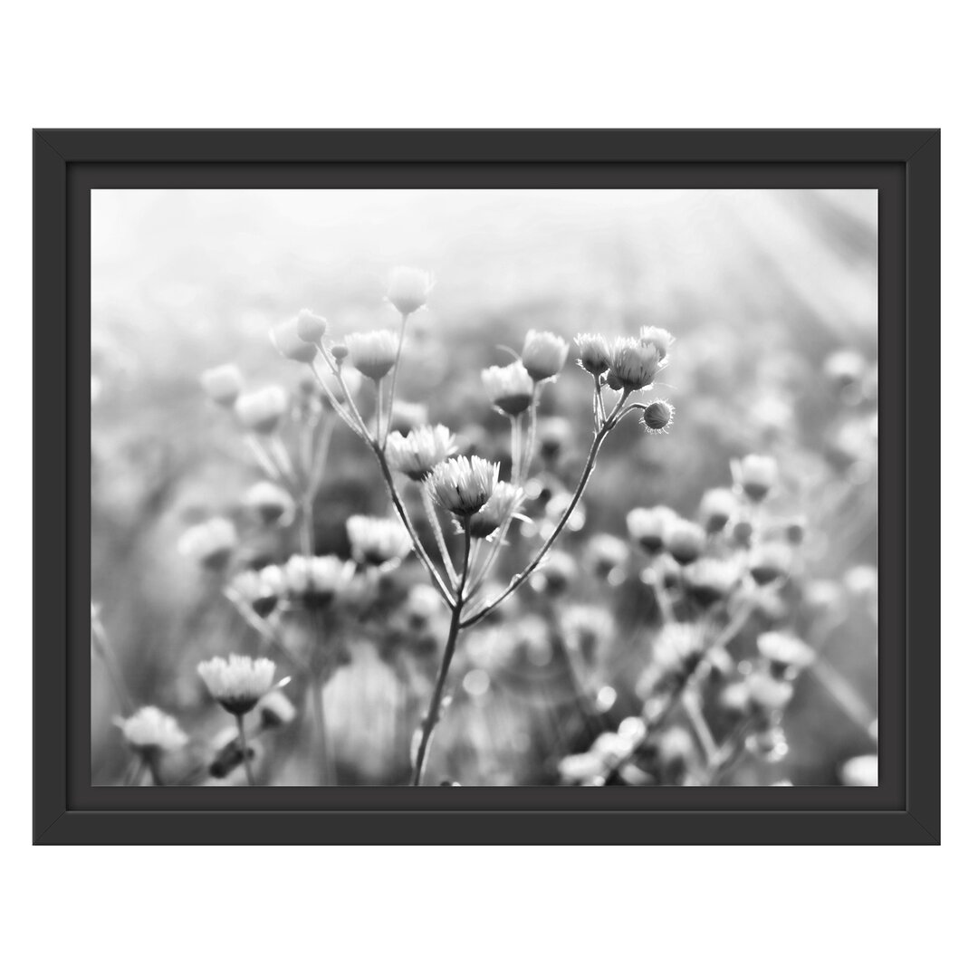 Gerahmtes Wandbild Romantische Blumenwiese