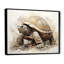 Minimalisme tortue I sur toile-97048525-97048531