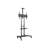 Throckmorton Fixed Floor Stand Mount for 55"-80" Flat Panel Screens