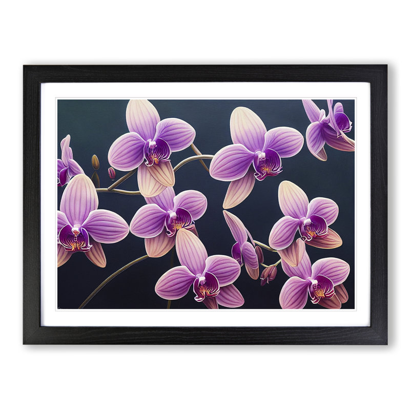 Enigmatic Orchid Flowers 1 Piece Single Picture Frame Wall Art, 46cm H x 64cm W x 2cm D, Black Framed